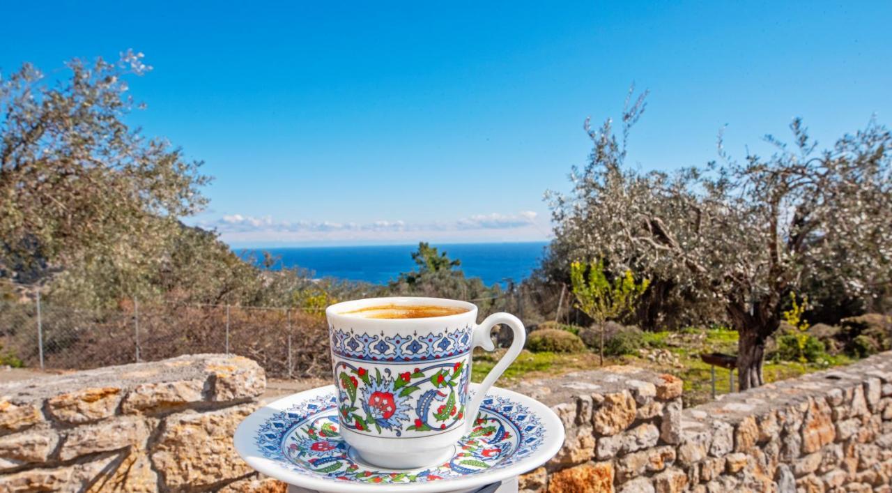 Sea Rock Villa Rodos أرخانجلوس المظهر الخارجي الصورة